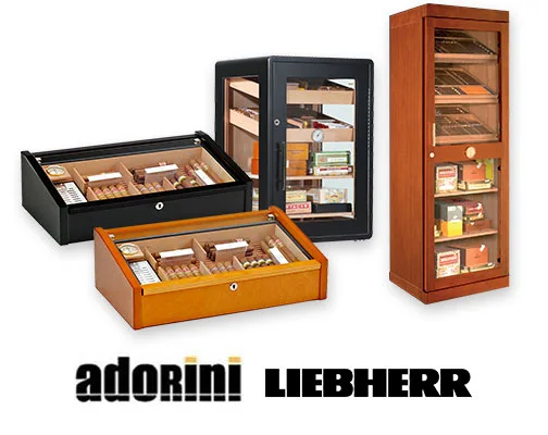 XIFEI umidificatore per sigari con igrometro umidificatore 2 cassetti  scatola per sigari portatile in legno di cedro adatta per armadietto per  sigari 25-50